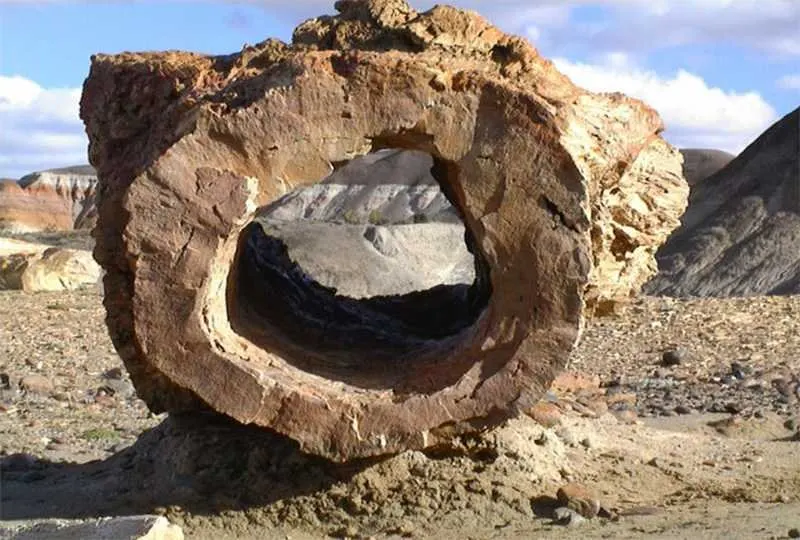 Tronco petrificado con forma de arco en el Bosque Petrificado La Leona