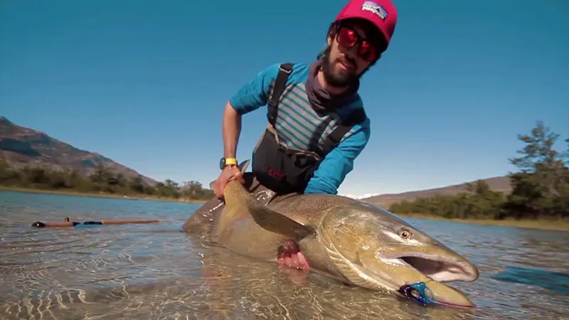 Pescador sosteniendo un pez grande en el agua, en la pesca deportiva